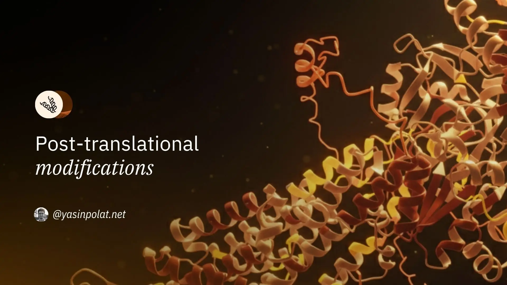What is Post-translational Modification (PTM) and Why is It Important?