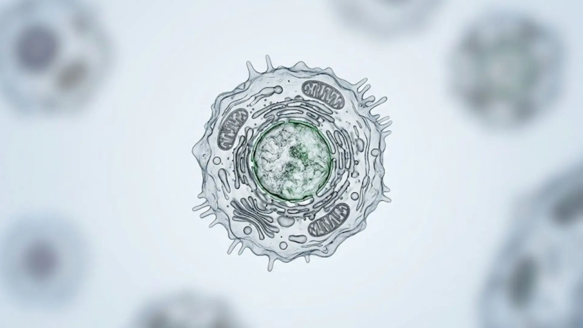 Why Has Single-Cell Omics Become So Important?